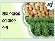 ସୋୟାବିନ୍ ଚାଷ ​​କରି ବଢ଼ାନ୍ତୁ ନିଜର ଆୟ 