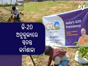 ସେଞ୍ଚୁରିଅନ୍ ବିଶ୍ୱବିଦ୍ୟାଳୟରେ ଜି-20ର ସ୍ୱତନ୍ତ୍ର କର୍ମଶାଳା,ବୃକ୍ଷରୋପଣକୁ ଗୁରୁତ୍ୱ