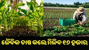 ଜୈବିକ ଚାଷକୁ ପ୍ରୋତ୍ସାହନ: ସରକାର ଦେବେ ୧୬,୦୦୦ ଟଙ୍କାର ଆର୍ଥିକ ସହାୟତା
