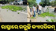 ରାସ୍ତାରେ ଫୋପଡ଼ା ହେଉଛି କ୍ୟାପସିକମ୍..