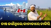 Golden Opportunity: ଚାଷ କାମ ଜାଣିଥିଲେ କାନାଡାରେ ମିଳିବ ଚାକିରି..