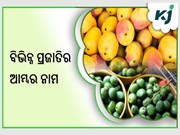 ଜାଣନ୍ତୁ ଭାରତର ପ୍ରସିଦ୍ଧ ଆମ୍ବର ନାମ 