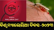 ଆଜି ବିଶ୍ୱ ମ୍ୟାଲେରିଆ ଦିବସ : ନୂଆ ଥିମ୍ ଜାରି କଲା ବିଶ୍ୱ ସ୍ୱାସ୍ଥ୍ୟ ସଂଗଠନ ଆଜି ବିଶ୍ୱ ମ୍ୟାଲେରିଆ ଦିବସ : ନୂଆ ଥିମ୍ ଜାରି କଲା ବିଶ୍ୱ ସ୍ୱାସ୍ଥ୍ୟ ସଂଗଠନ