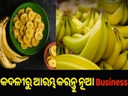 New Business Idea: କଦଳୀରୁ ଆରମ୍ଭ କରନ୍ତୁ ନୂଆ ବ୍ୟବସାୟ