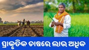 ପ୍ରାକୃତିକ ଚାଷରେ ଖର୍ଚ୍ଚ କମ,ଲାଭ ଅଧିକ 