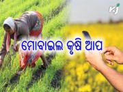 ଏବେ ମୋବାଇଲ ଆପରୁ ମିଳିବ କୃଷି ସହ ଜଡିତ ସମସ୍ତ ତଥ୍ୟ