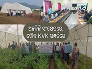 ନମସ୍କାର ବୌଦ୍ଧ, ଆସନ୍ତୁ ଜାଣିବା ଆପଣଙ୍କ ଜିଲ୍ଲାର କୃଷି ବିଜ୍ଞାନ କେନ୍ଦ୍ର ସମ୍ପର୍କରେ