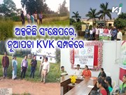 ନମସ୍କାର ନୂଆପଡା, ଆସନ୍ତୁ ଜାଣିବା ଆପଣଙ୍କ ଜିଲ୍ଲାର କୃଷି ବିଜ୍ଞାନ କେନ୍ଦ୍ର ସମ୍ପର୍କରେ