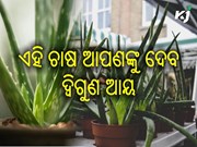 ୫୦ ହଜାର ରୁ ଆରମ୍ଭ କରି ମାସକୁ କମାନ୍ତୁ ଲକ୍ଷ ଲକ୍ଷ ଟଙ୍କା