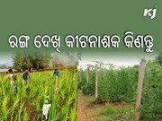 ରଙ୍ଗକୁ ଆଧାର କରି ନିଜ ଚାଷ ଜମି ପାଇଁ କୀଟନାଶକ ବାଛନ୍ତୁ