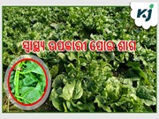 ଘରେ ଚାଷ କରନ୍ତୁ ପୋଇ, ଏହା ସ୍ୱାସ୍ଥ୍ୟ ପାଇଁ ଲାଭଦାୟକ