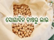 କିପରି କରିବେ ସୋୟାବିନ ଚାଷ ?
