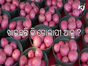 ଗୋଲାପୀ ଆଳୁ ଚାଷରେ ଆଶ୍ଚର୍ଯ୍ୟଜନକ ଲାଭ, କୃଷକମାନେ ମାତ୍ର ୮୦ ଦିନରେ ଧନୀ ହେବେ !