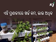 ଆକ୍ବାପୋନିକ୍ ପ୍ରଣାଳୀରେ ଚାଷ କଲେ ମିଳିବ ଅଧିକ ଲାଭ