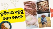 ଦୁନିଆର ସବୁଠୁ ଦାମୀ ଚାଉଳ, ଦାମ୍ ଜାଣିଲେ ଉଡ଼ିଯିବ ହୋସ 