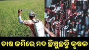 ଚାଷ ଜମିରେ ମଦ ସ୍ପ୍ରେ କରୁଛନ୍ତି ଚାଷୀ, ଜାଣନ୍ତୁ ଏହାର ଫାଇଦା... ଚାଷ ଜମିରେ ମଦ ସ୍ପ୍ରେ କରୁଛନ୍ତି ଚାଷୀ, ଜାଣନ୍ତୁ ଏହାର ଫାଇଦା...