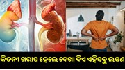 କିଡନୀ ଖରାପ ହେବା ପୂର୍ବରୁ ଦେଖା ଦେଇଥାଏ ଏହି ସବୁ ଲକ୍ଷଣ.... କିଡନୀ ଖରାପ ହେବା ପୂର୍ବରୁ ଦେଖା ଦେଇଥାଏ ଏହି ସବୁ ଲକ୍ଷଣ....