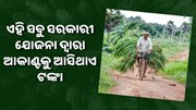 ଏହି ସବୁ ସରକାରୀ ଯୋଜନା ବଢ଼ାଇଥାଏ ଚାଷୀଙ୍କ ଆୟ... ଏହି ସବୁ ସରକାରୀ ଯୋଜନା ବଢ଼ାଇଥାଏ ଚାଷୀଙ୍କ ଆୟ...