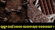 ଜାଣନ୍ତୁ,ଚକୋଲେଟ୍ ଖାଇବା ସ୍ୱାସ୍ଥ୍ୟ ପାଇଁ ହୀତକାରକ ନା କ୍ଷତିକାରକ... ଜାଣନ୍ତୁ,ଚକୋଲେଟ୍ ଖାଇବା ସ୍ୱାସ୍ଥ୍ୟ ପାଇଁ ହୀତକାରକ ନା କ୍ଷତିକାରକ...