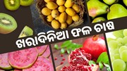 ଜୁନ୍ ମାସରେ କରନ୍ତୁ ଏହି ଚାଷ, ବଢିବ ଆୟ 