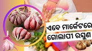 ଏବେ ମାର୍କେଟରେ ହଇଚଇ ମଚେଇଚି ଗୋଲାପୀ ରସୁଣ, ଜାଣନ୍ତୁ କାହିଁକି ଏତେ ଚର୍ଚ୍ଚା ?