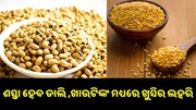 ଶସ୍ତା ହେବାକୁ ଯାଉଛି ଏହି ସବୁ ଡାଲି.. ଶସ୍ତା ହେବାକୁ ଯାଉଛି ଏହି ସବୁ ଡାଲି..