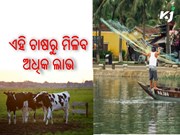 Most Profitable Farming: ଭାରତରେ ସବୁଠାରୁ ଲାଭଜନକ କୃଷି ବ୍ୟବସାୟ