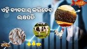 ଲାଭଦାୟକ ଏହି 3ଟି ବ୍ୟବସାୟ