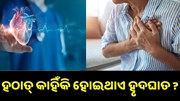 ହଠାତ୍ କାହିଁକି ହୋଇଥାଏ ହୃଦଘାତ, ଜାଣନ୍ତୁ ଏହା ପଛର କାରଣ.... ହଠାତ୍ କାହିଁକି ହୋଇଥାଏ ହୃଦଘାତ, ଜାଣନ୍ତୁ ଏହା ପଛର କାରଣ....