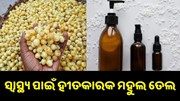 ସ୍ୱାସ୍ଥ୍ୟ ପାଇଁ ହୀତକାରକ ମହୁଲ ତେଲ, ଏବେ ବଢ଼ାଇଛି କୃଷକଙ୍କ ରୋଜଗାର... ସ୍ୱାସ୍ଥ୍ୟ ପାଇଁ ହୀତକାରକ ମହୁଲ ତେଲ, ଏବେ ବଢ଼ାଇଛି କୃଷକଙ୍କ ରୋଜଗାର...