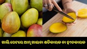 ଜାଣନ୍ତୁ,ଖାଲି ପେଟରେ ଆମ୍ବ ଖାଇବା କ୍ଷତିକାରକ ନା ହୀତକାରକ… ଜାଣନ୍ତୁ,ଖାଲି ପେଟରେ ଆମ୍ବ ଖାଇବା କ୍ଷତିକାରକ ନା ହୀତକାରକ…