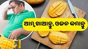 ଆମ୍ବ ଖାଇଲେ କମିଯିବ ଓଜନ !