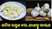 କମିବ ରସୁଣ ଦର, ଜାଣନ୍ତୁ ଏହାର କାରଣ.. କମିବ ରସୁଣ ଦର, ଜାଣନ୍ତୁ ଏହାର କାରଣ..