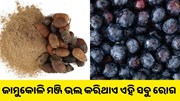 ଜାମୁକୋଳି ମଞ୍ଜି ଭଲ କରିଥାଏ ଏହି ସବୁ ବଡ଼ ବଡ଼ ରୋଗ... ଜାମୁକୋଳି ମଞ୍ଜି ଭଲ କରିଥାଏ ଏହି ସବୁ ବଡ଼ ବଡ଼ ରୋଗ...