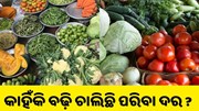 ଜାଣନ୍ତୁ, କାହିଁକି ବଢ଼ି ଚାଲିଛି ପରିବା ଦର.. ଜାଣନ୍ତୁ, କାହିଁକି ବଢ଼ି ଚାଲିଛି ପରିବା ଦର..