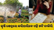 କୃଷି କ୍ଷେତ୍ରରେ କରନ୍ତୁ ଏହି ସବୁ ଚାକିରି, କେବଳ ଟଙ୍କା ହିଁ ଟଙ୍କା.. କୃଷି କ୍ଷେତ୍ରରେ କରନ୍ତୁ ଏହି ସବୁ ଚାକିରି, କେବଳ ଟଙ୍କା ହିଁ ଟଙ୍କା..