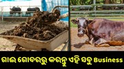 ଜାଣନ୍ତୁ ଗୋବରରୁ କେଉଁ କେଉଁ ବିଜନେସ କରି ଆପଣ ହୋଇପାରିବେ ଲାଭବାନ.. ଜାଣନ୍ତୁ ଗୋବରରୁ କେଉଁ କେଉଁ ବିଜନେସ କରି ଆପଣ ହୋଇପାରିବେ ଲାଭବାନ..