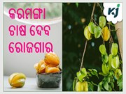ବ୍ୟବସାୟିକ ଭିତ୍ତିରେ ଚାଷ କରନ୍ତୁ କରମଙ୍ଗା