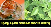 ଏହି ସବୁ ବଡ଼ ବଡ଼ ରୋଗ ଭଲ କରିଥାଏ ବେଲପତ୍ର ଏହି ସବୁ ବଡ଼ ବଡ଼ ରୋଗ ଭଲ କରିଥାଏ ବେଲପତ୍ର
