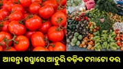ଆସନ୍ତା ସପ୍ତାରେ ଆହୁରି ବଢ଼ିବ ଟମାଟୋ ଦର, ଆପଣଙ୍କ ସହରରେ କେତେ ? ଆସନ୍ତା ସପ୍ତାରେ ଆହୁରି ବଢ଼ିବ ଟମାଟୋ ଦର, ଆପଣଙ୍କ ସହରରେ କେତେ ?