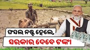  ଫସଲ କ୍ଷତିପୂରଣ ପାଇବେ ଚାଷୀ, ଶୀଘ୍ର କରନ୍ତୁ ଆବେଦନ 