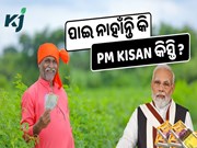 ପାଇ ନାହାଁନ୍ତି କି PM Kisan କିସ୍ତି ? ଅନଲାଇନରେ କରନ୍ତୁ ଯାଞ୍ଚ……