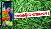 ଅଧିକ ଖାଉଛନ୍ତି କି କଞ୍ଚାଲଙ୍କା ? 