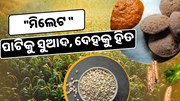 ଏବେ ସ୍କୁଲ ମଧ୍ୟାହ୍ନ ଭୋଜନ ଓ ମେଡିକାଲରେ ମିଳିବ ମିଲେଟ୍‌ ଖାଦ୍ୟ 