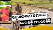 ପଶୁପାଳନରେ ସରକାର ଦେଉଛନ୍ତି 33% ସବସିଡି, ଶୀଘ୍ର କରନ୍ତୁ ଆବେଦନ 