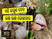 ଜୈବିକ ଉପାୟରେ ରସୁଣ ଚାଷ: ୬ ମାସରେ ଲକ୍ଷ ଲକ୍ଷ ଟଙ୍କାର ରୋଜଗାର କରନ୍ତୁ 