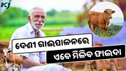 ଏହି ଯୋଜନା ପଶୁପାଳକଙ୍କୁ କରିଦେବ ମାଲେମାଲ 