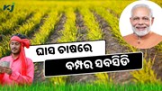 ସରକାର ଦେଉଛନ୍ତି ହେକ୍ଟର ପିଛା 10,000 ଟଙ୍କା 