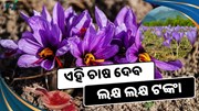 ଏହି ଚାଷ ବଦଳାଇ ଦେବ ଚାଷୀଙ୍କ ଭାଗ୍ୟ 
