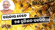 ମହୁମାଛି ଚାଷରେ ସରକାର ଦେବେ ବମ୍ପର ସବସିଡି